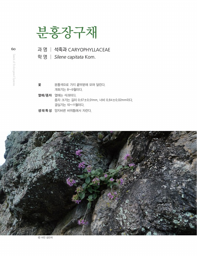 58페이지