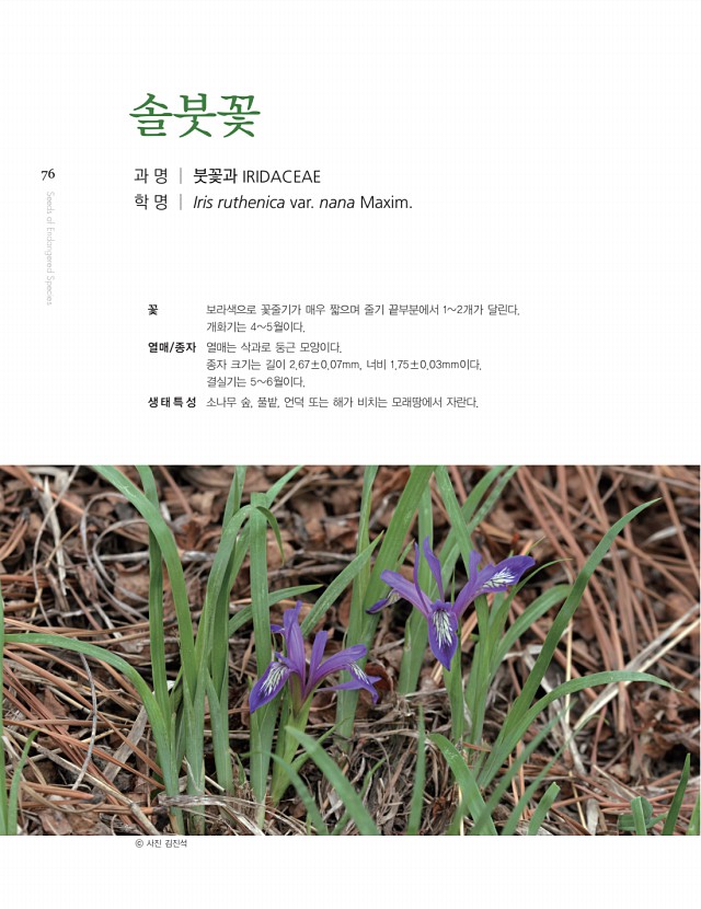 66페이지