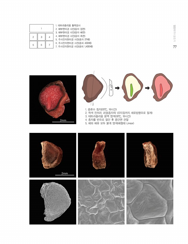 67페이지