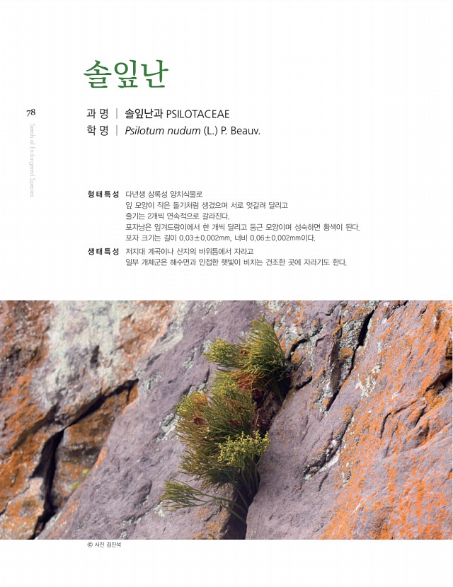 68페이지