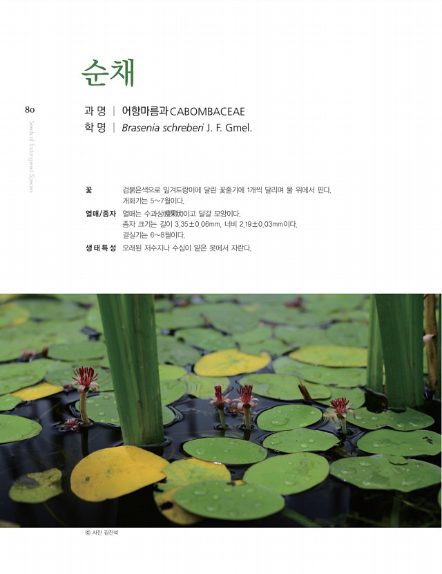 70페이지