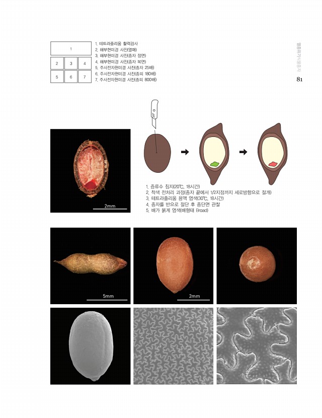 71페이지