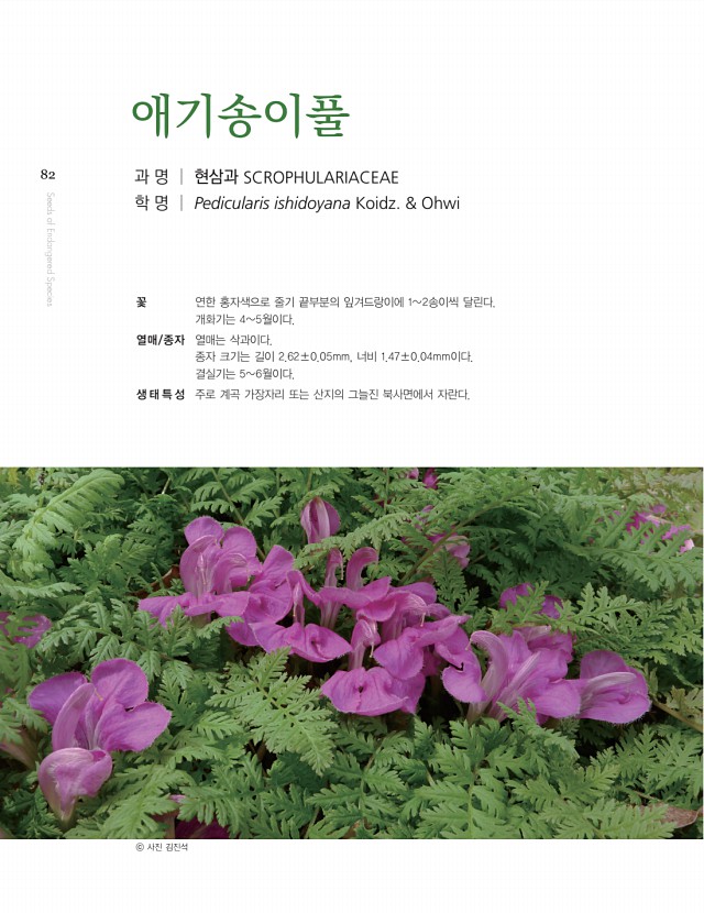 72페이지