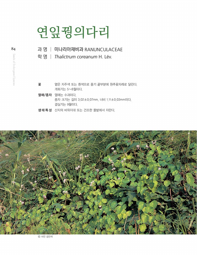 74페이지