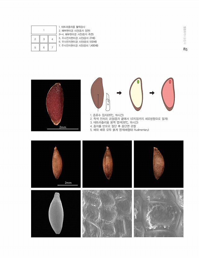 75페이지