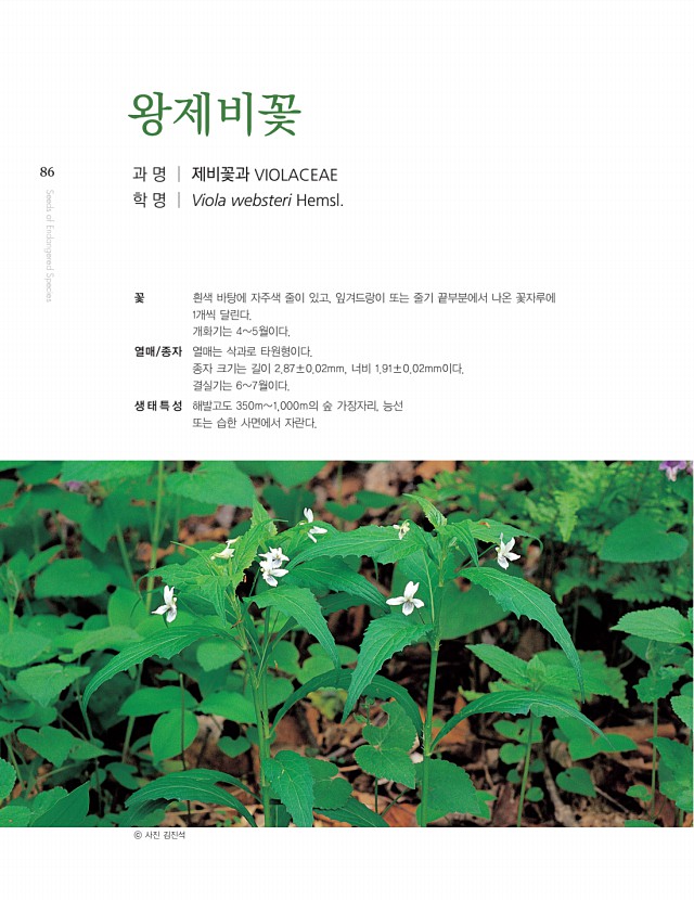 76페이지