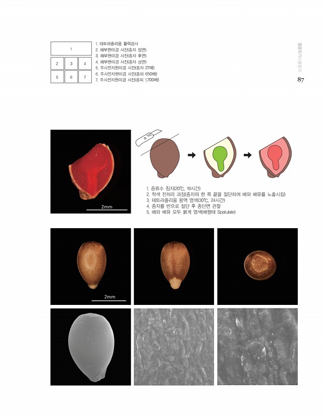 77페이지