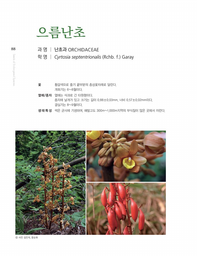 78페이지
