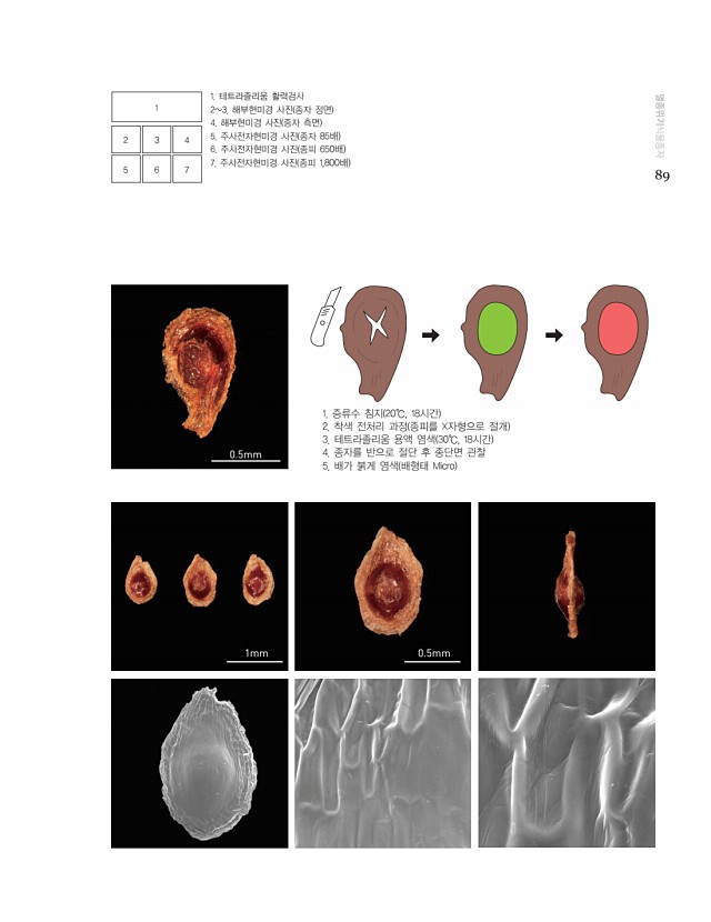 79페이지