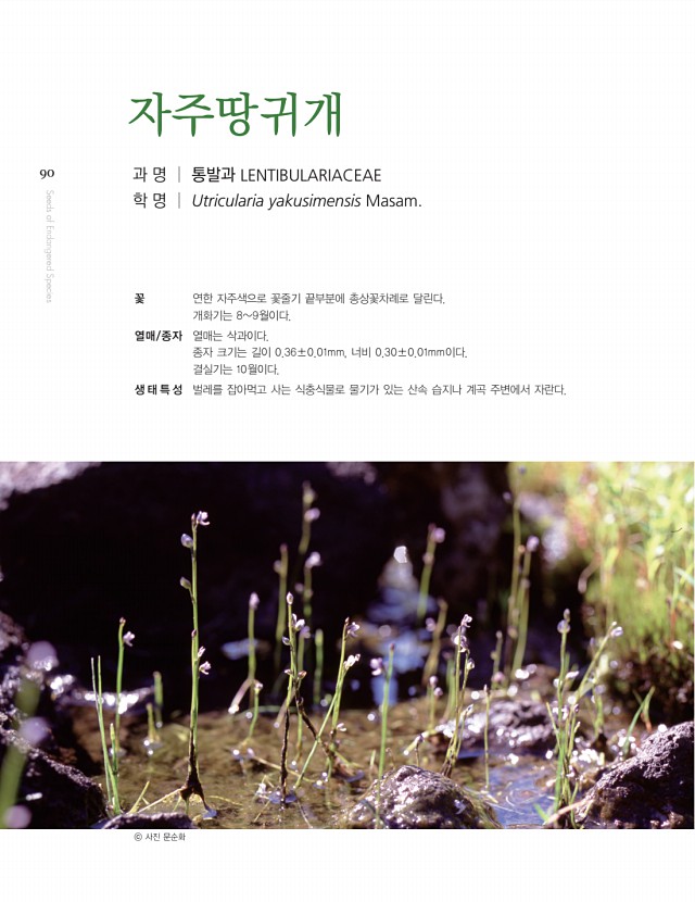 80페이지