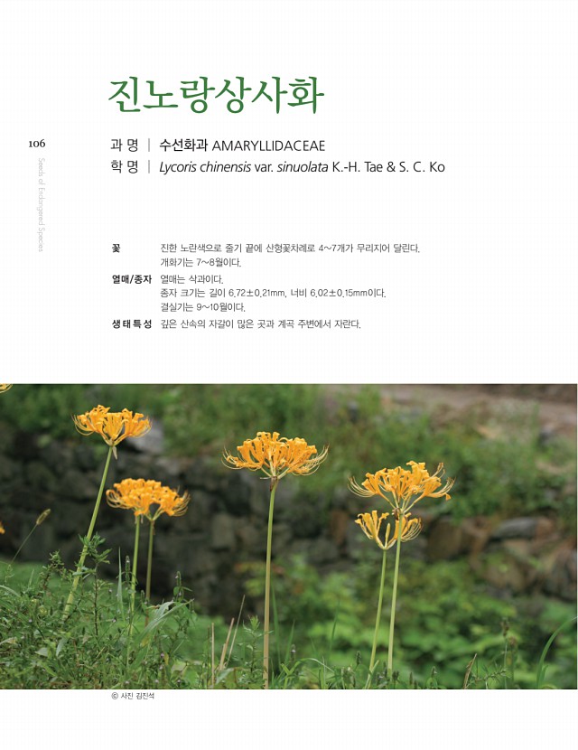 90페이지