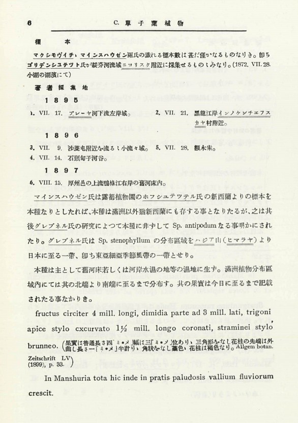 13페이지