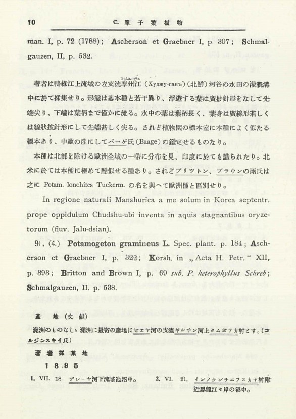 17페이지