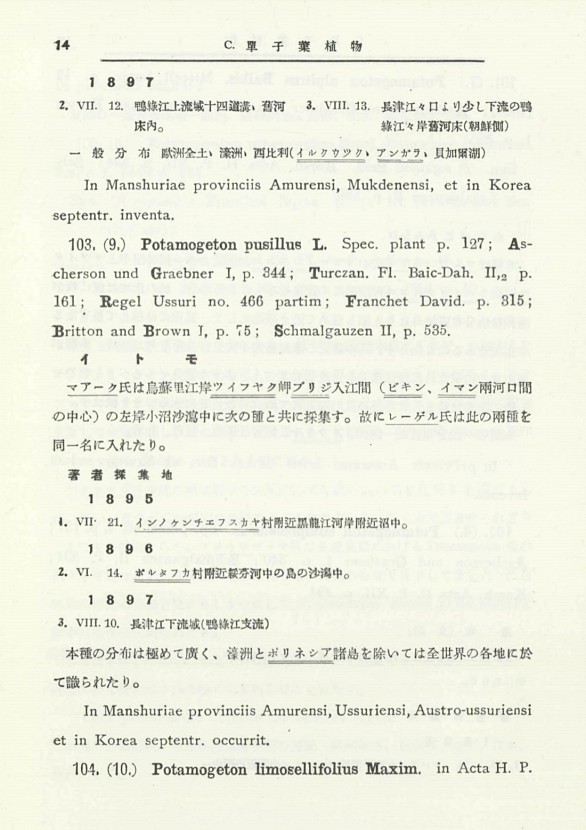 21페이지