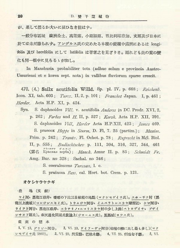 30페이지