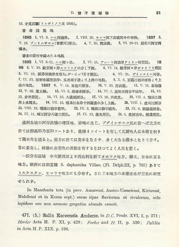 31페이지