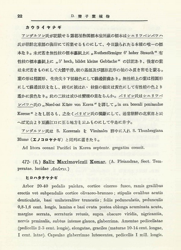32페이지