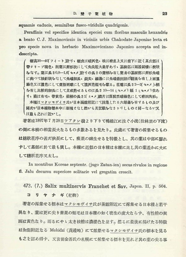33페이지