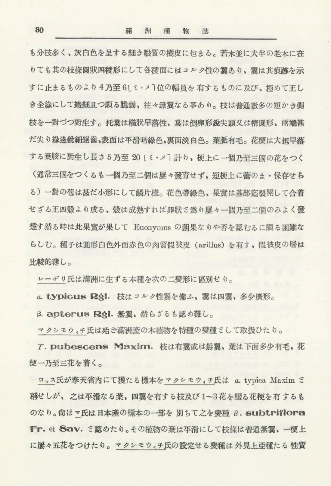 페이지
