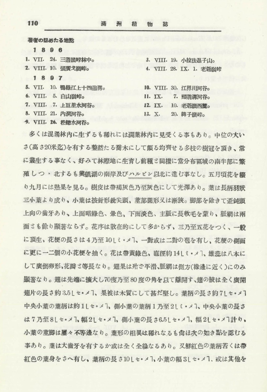 페이지