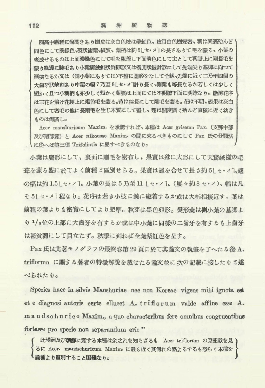 페이지