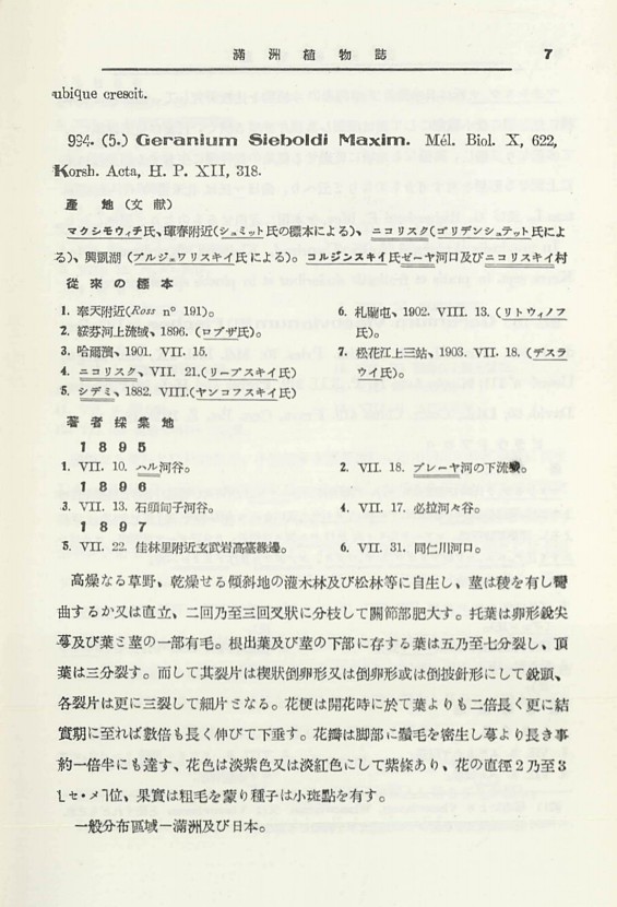 13페이지
