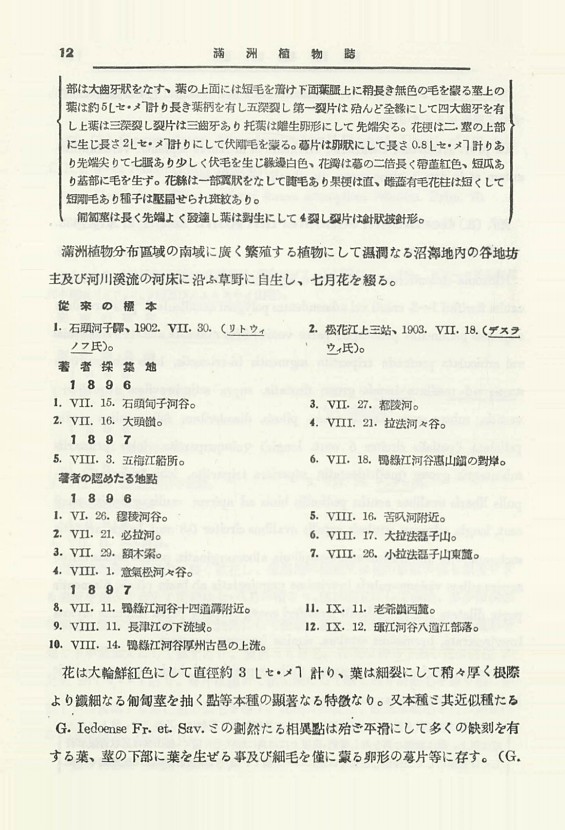 31페이지