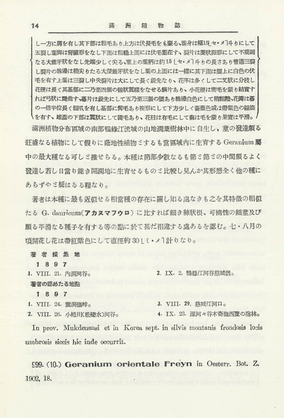 33페이지