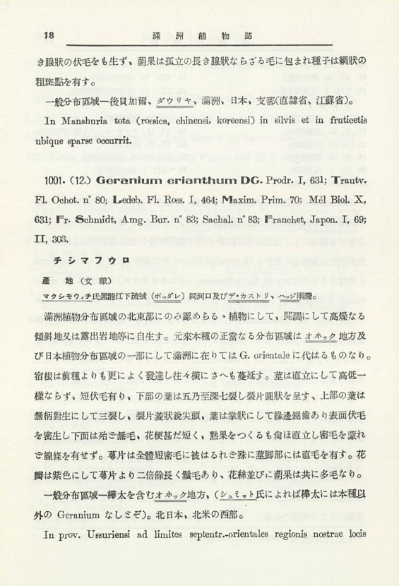 37페이지
