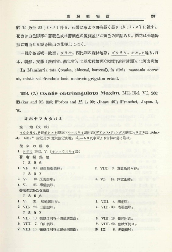 42페이지