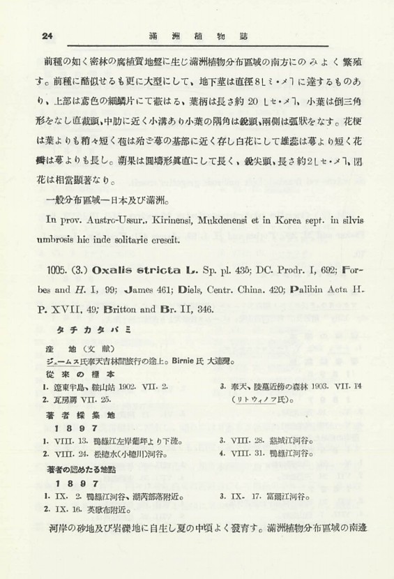 43페이지
