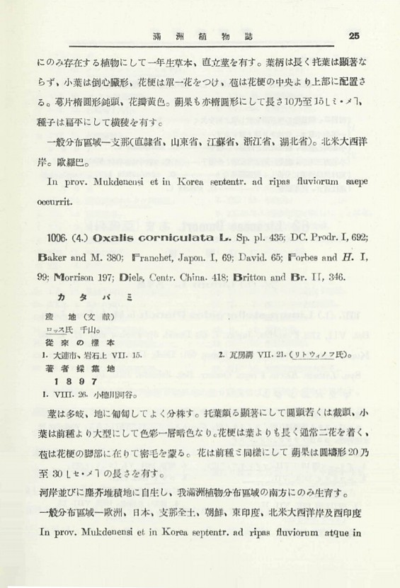 44페이지