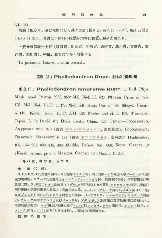 51페이지