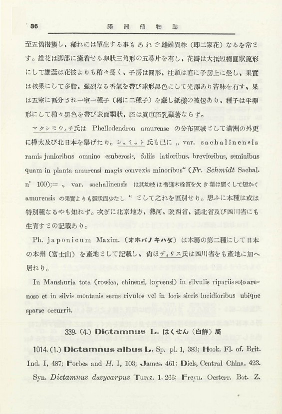 54페이지