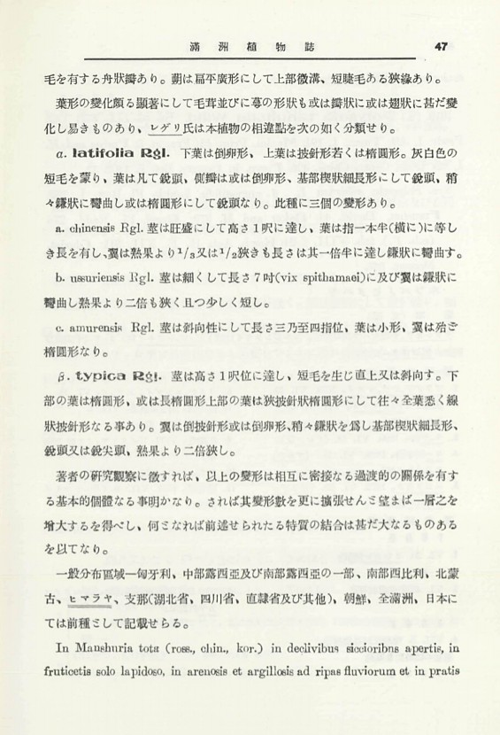 54페이지