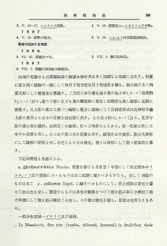 77페이지