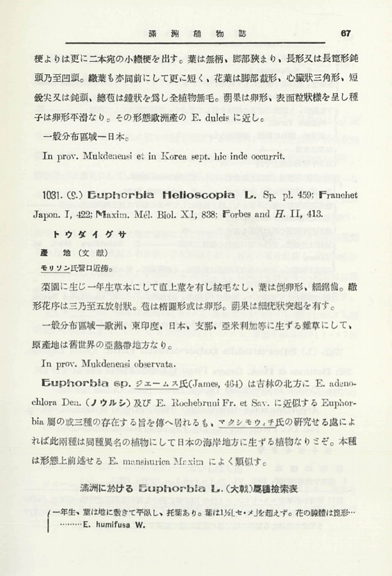 85페이지