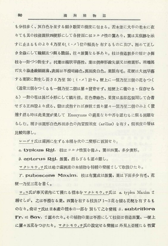 100페이지