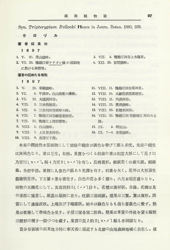 113페이지