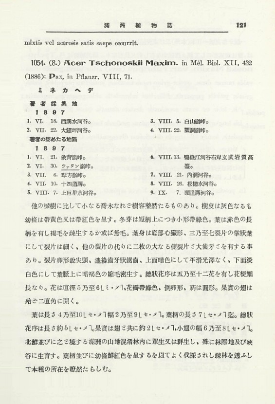 141페이지