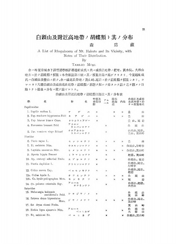 21페이지
