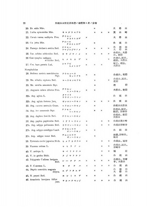 22페이지
