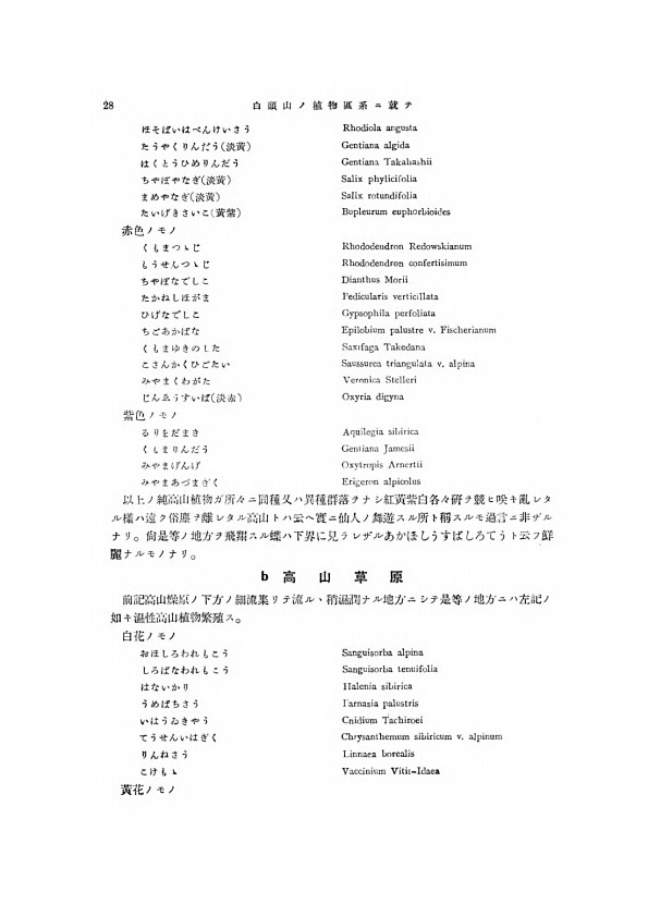 28페이지