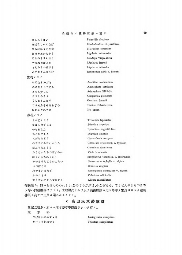 29페이지