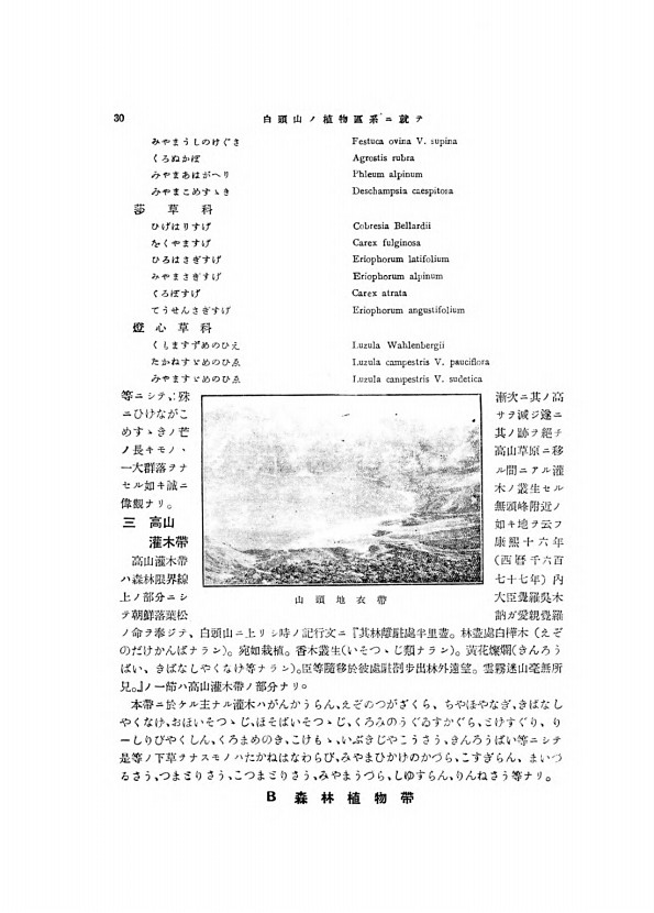 30페이지