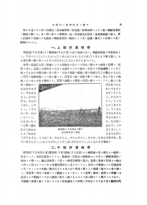 31페이지