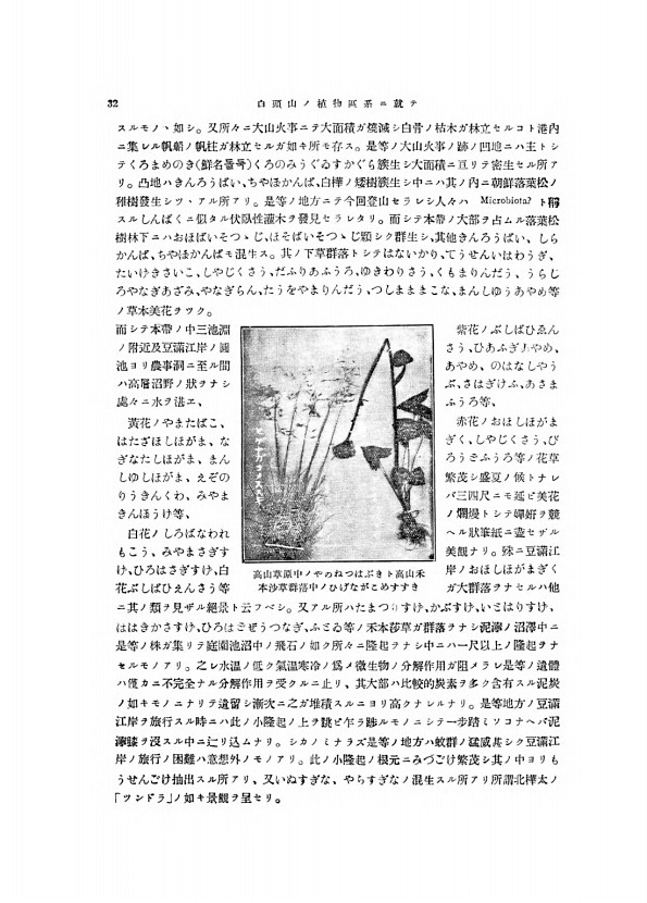 32페이지