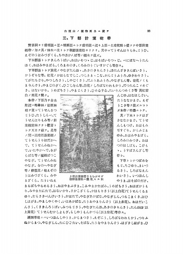33페이지