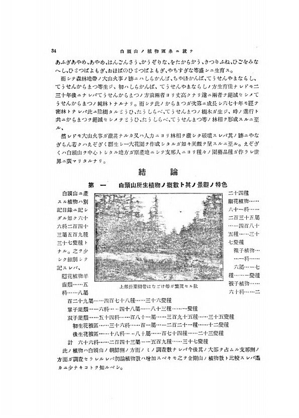34페이지