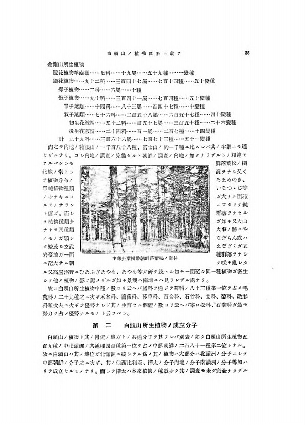 35페이지